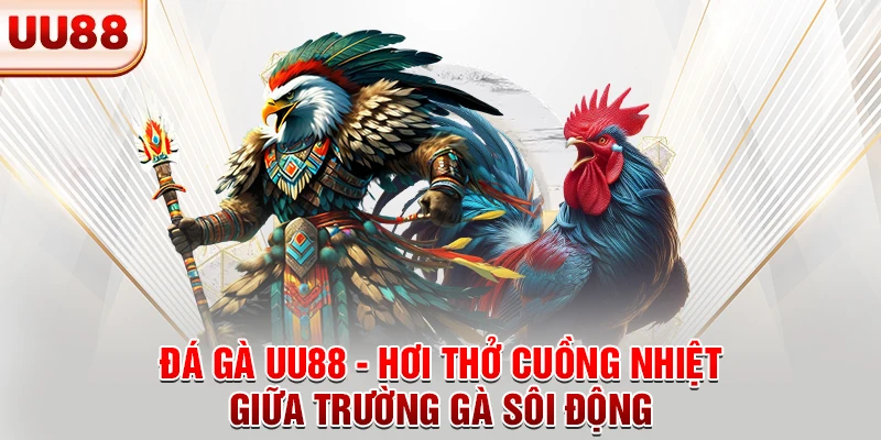Đá Gà UU88 - Hơi Thở Cuồng Nhiệt Giữa Trường Gà Sôi Động