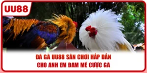 Đá Gà UU88 Sân Chơi Hấp Dẫn Cho Anh Em Đam Mê Cược Gà