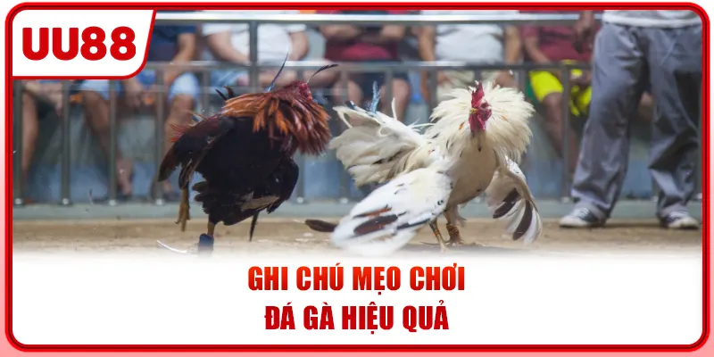 Ghi chú mẹo chơi đá gà hiệu quả