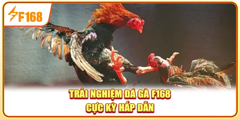 Trải nghiệm đá gà F168 cực kỳ hấp dẫn